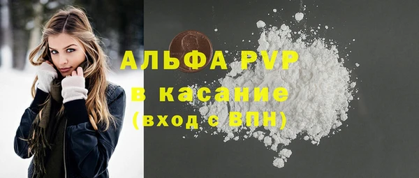 spice Богородицк