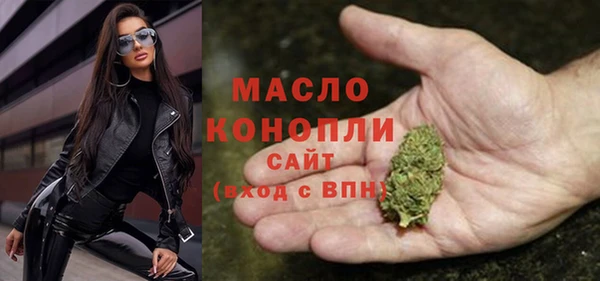 spice Богородицк