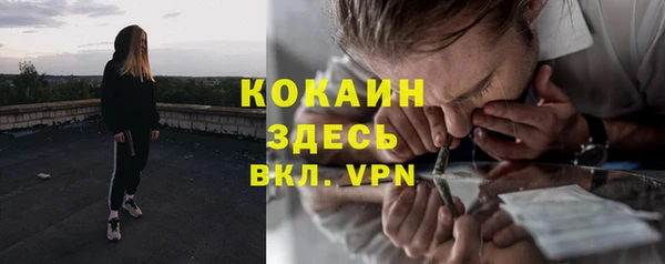 мяу мяу мука Богданович