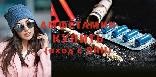 spice Богородицк