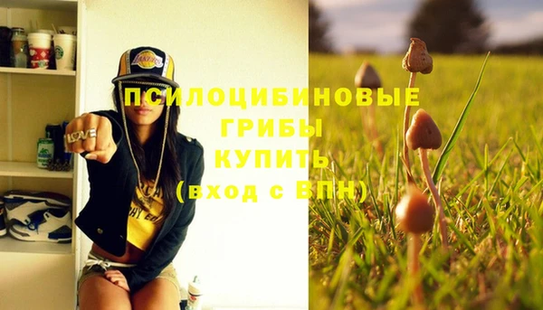 мяу мяу мука Богданович