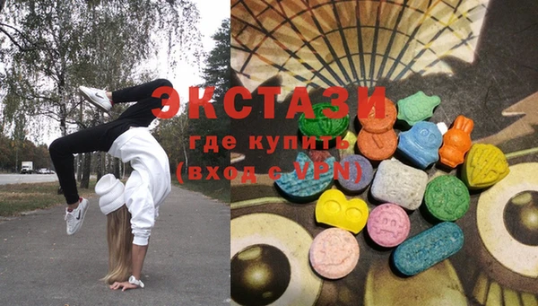 spice Богородицк