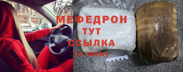 spice Богородицк