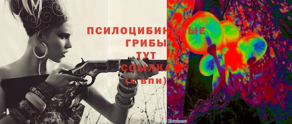 ГАЛЛЮЦИНОГЕННЫЕ ГРИБЫ Бронницы