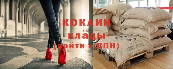 альфа пвп Новодвинск