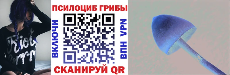 ОМГ ОМГ маркетплейс  Ачхой-Мартан  Псилоцибиновые грибы Psilocybine cubensis 